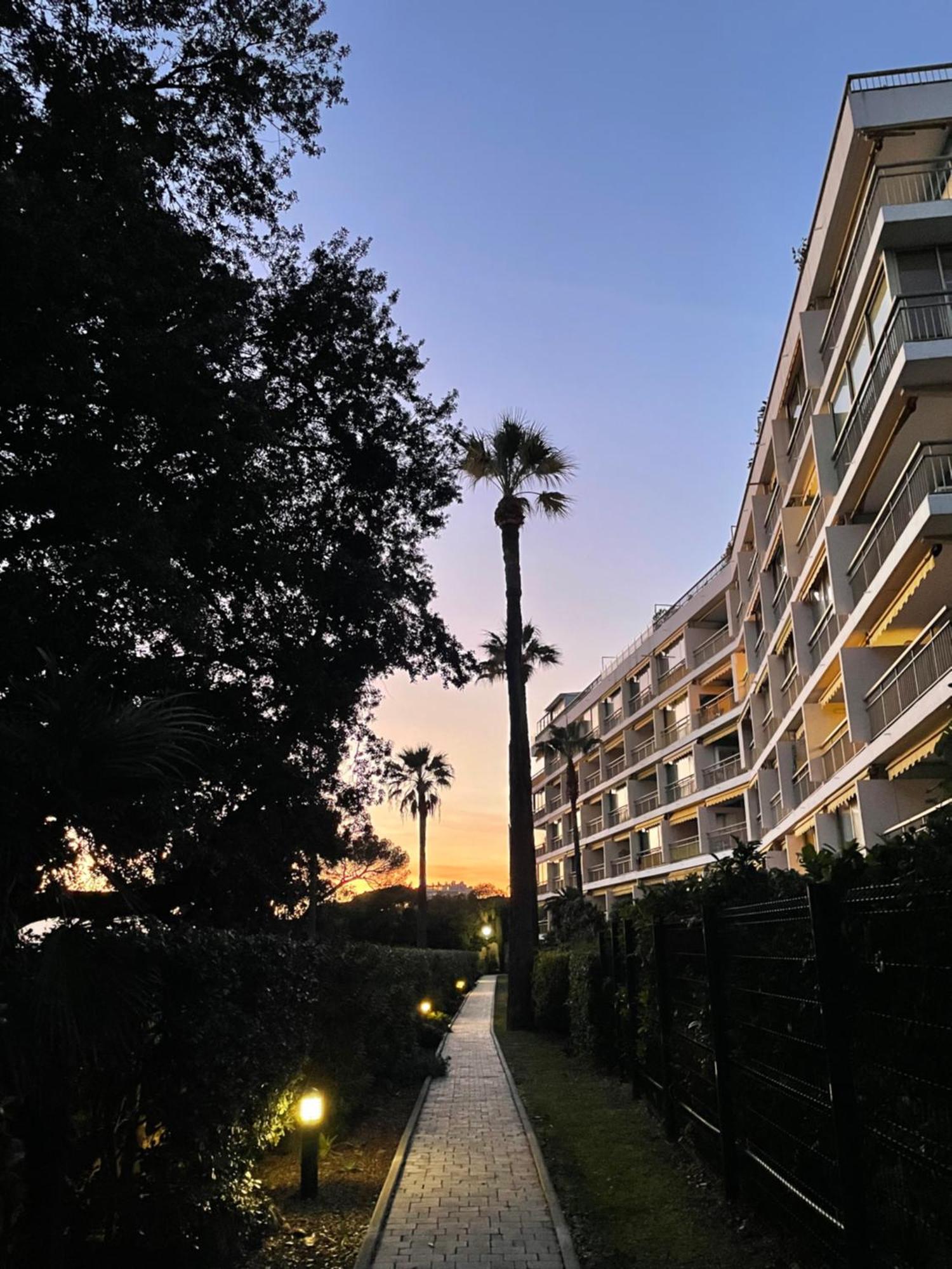 C037-Nice Studio With Garden And Parking - Near Beach Cannes Exterior photo